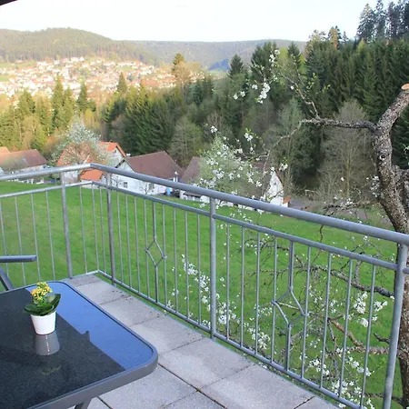 Schwarzwald Idylle Baiersbronn