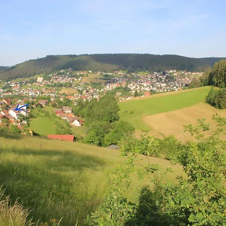 Schwarzwald Idylle Baiersbronn